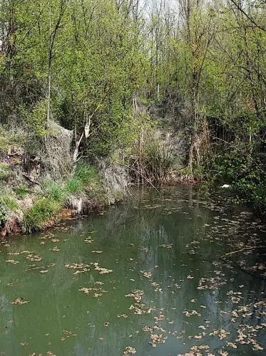 Fuentes-Los-Chortales-Fuentealamo