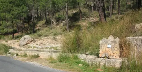 Fuentes-Los-Chovales