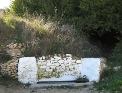 Fuentes-Los-Picarzos-Elche-de-la-Sierra