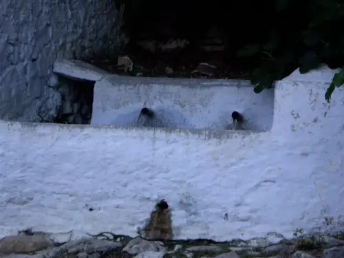 Fuentes-Los-Prados-Yeste3