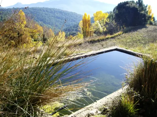 Fuentes-Los-Prados3-Yeste