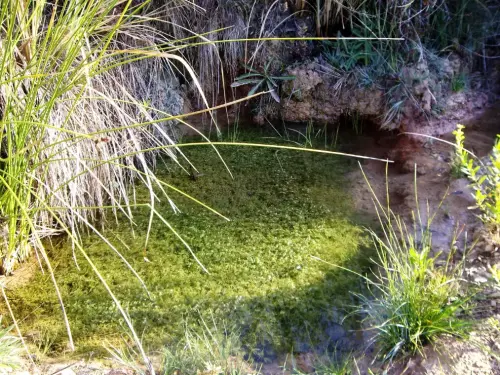 Fuentes-Majada-Carrasca-Yeste