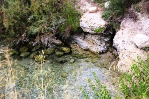 Fuentes-Manantial-de-La-Pioja-Agra
