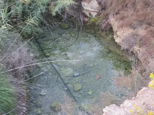 Fuentes-Manantial-de-La-Pioja-Agra2