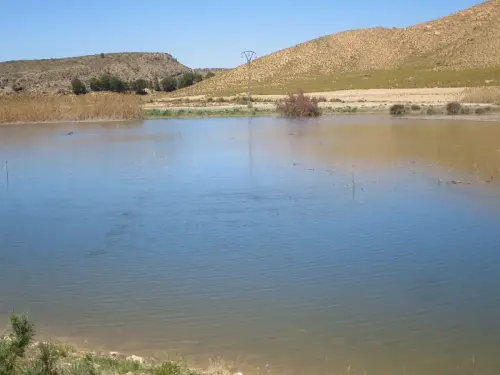 Fuentes-Manantial-de-Las-Canales2