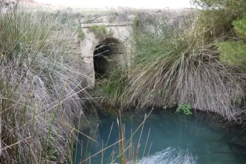 Fuentes-Manantial-de-Vilches