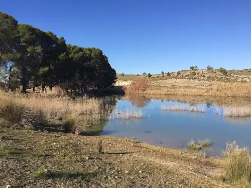 Fuentes-Manantial-de-Vilches2