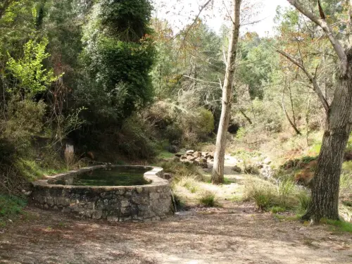 Fuentes-Mesones-Molinicos