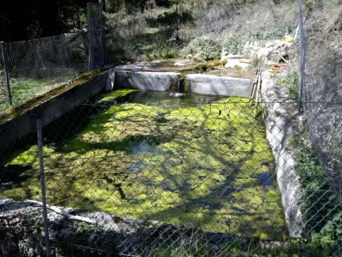 Fuentes-Miraflores-Riopar