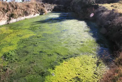 Fuentes-Moriscote-Alcadozo2