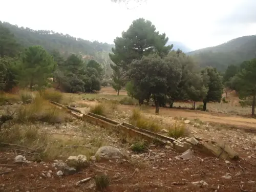 Fuentes-Padron-Bienservida