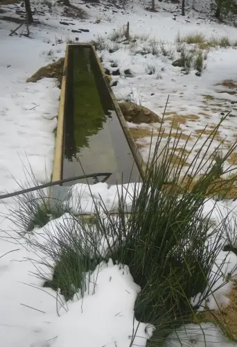 Fuentes-Padron3-Bienservida