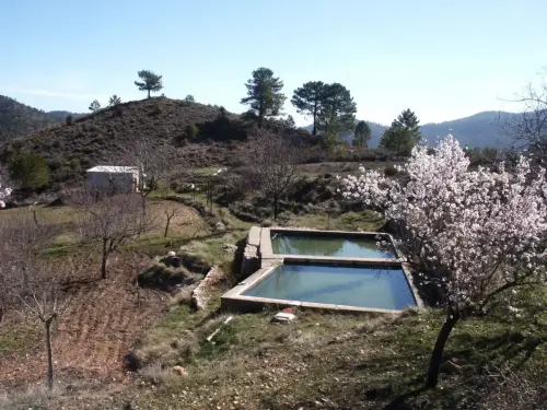 Fuentes-Paterna-del-Madera2