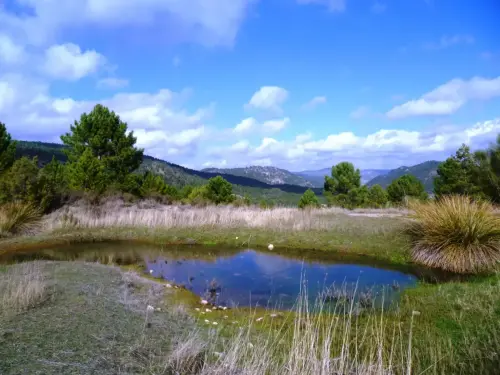 Fuentes-Paterna-del-Madera3