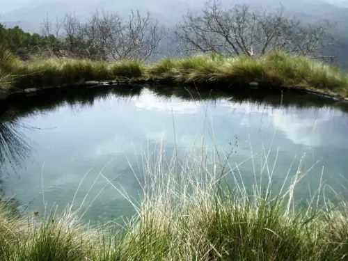 Fuentes-Paules-Yeste2