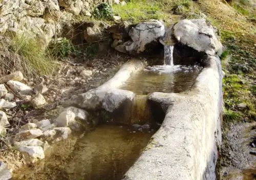 Fuentes-Pino-de-los-Muchachos-Paterna-del-Madera