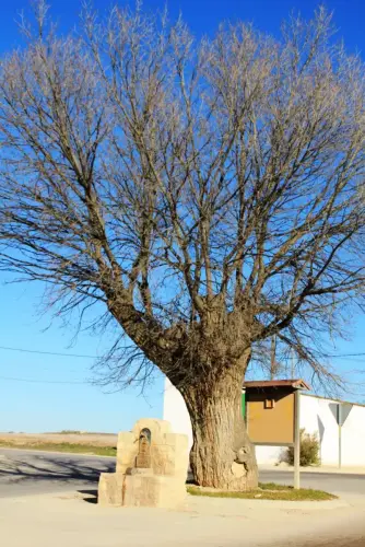 Fuentes-Pozo-la-Pena-Chinchilla