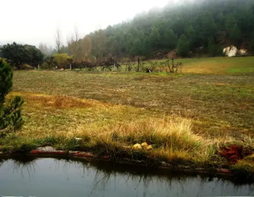 Fuentes-Prado-Isidoro-Los-Prados-Yeste2