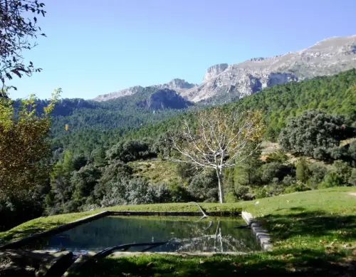 Fuentes-Rincon-Cavero-Yeste