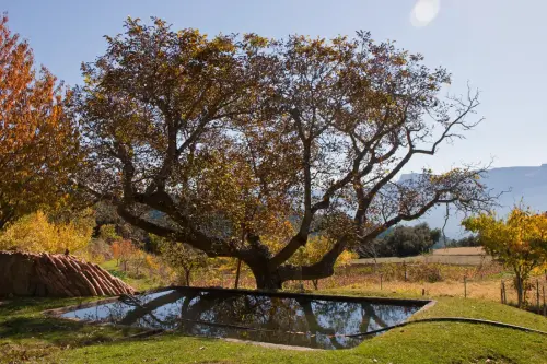 Fuentes-Rincon-Cavero-Yeste2