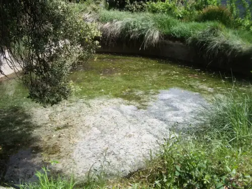 Fuentes-Rincon-Cavero-Yeste3