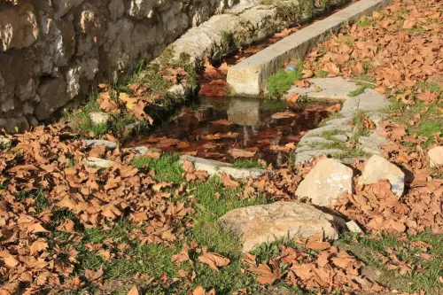 Fuentes-San-Gregorio-Alpera