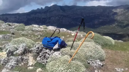 Calizas-Dientes-de-vieja