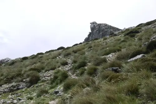 Dolomias4-Pena-Palomera