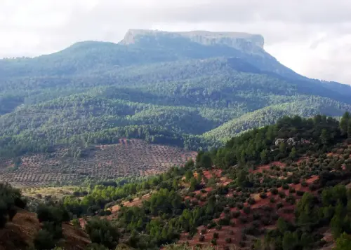 Erosion-Cabezos-Cambron