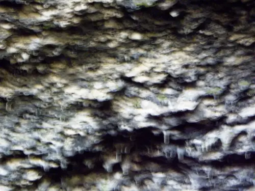 Estalactitas-Cueva-de-los-Pies-Yeste