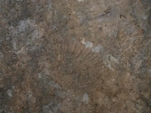 Fosiles-Los-Batanes-Alcaraz