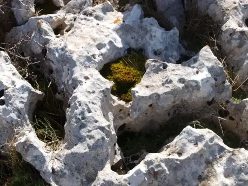 Paisaje-carstico-Lapiaz-Gelifraccion2