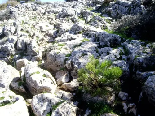 Paisaje-carstico-Lapiaz-Gelifraccion7