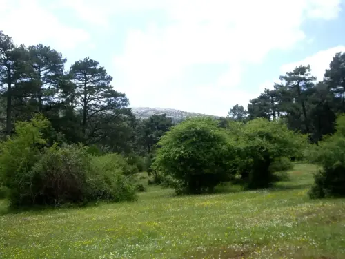 Paisaje-carstico-Polje