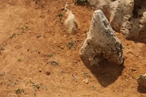 Paisaje-carstico-Terra-Rosa