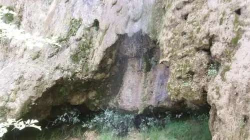 Tobas-Paterna-del-Madera