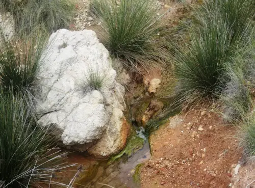 Hornos-de-azufre-CenajoHellin15