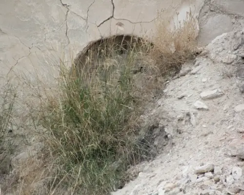 Hornos-de-azufre-Las-MinasHellin10