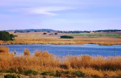 Humedales-Albacete-Laguna-de-Ontalafia
