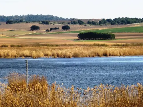 Humedales-Albacete-Laguna-de-Ontalafia2