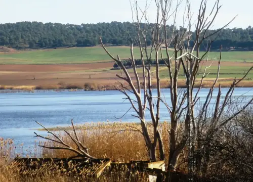 Humedales-Albacete-Laguna-de-Ontalafia3