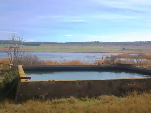 Humedales-Albacete-Laguna-de-Ontalafia4