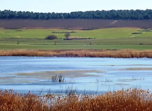 Humedales-Albacete-Laguna-de-Ontalafia5