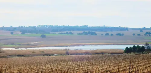 Humedales-Albacete-Laguna-de-Ontalafia6