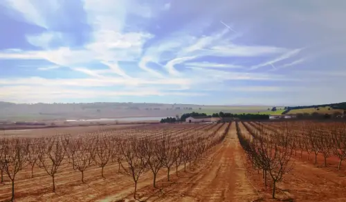 Humedales-Albacete-Laguna-de-Ontalafia7