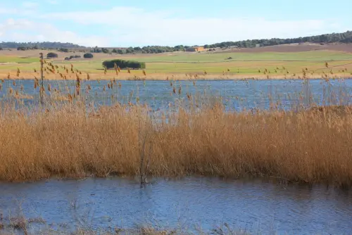 Humedales-Albacete-Laguna-de-Ontalafia9