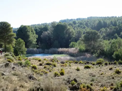 Humedales-Almansa-Casa-del-Aire