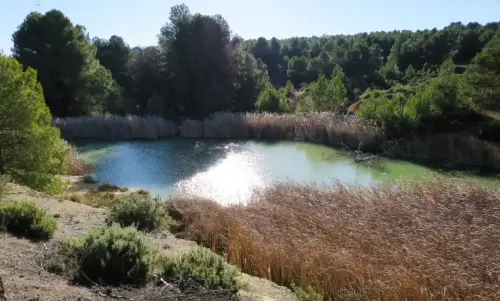 Humedales-Almansa-Casa-del-Aire2