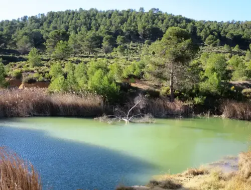 Humedales-Almansa-Casa-del-Aire3