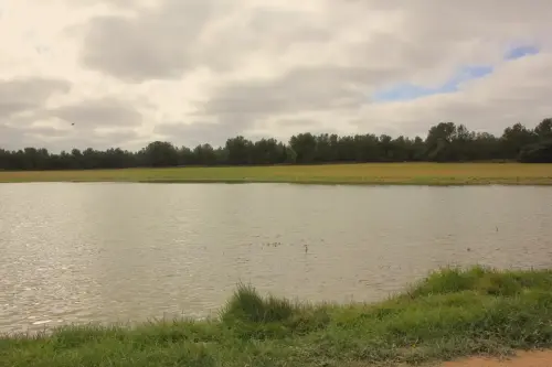 Humedales-Almansa-La-Sierra10